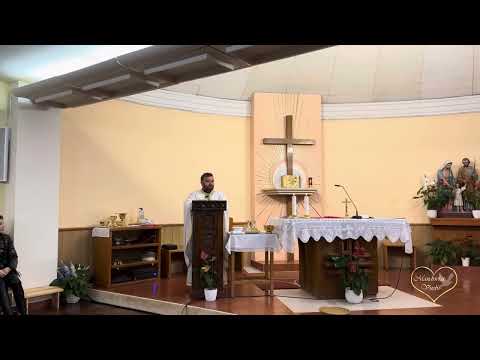 Видео: Коріться один одному - о.Тарас Бровді в часі реколекцій для подружніх пар