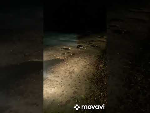 Видео: Гаи Ушачи.Ночные канавы на проезжей части д.Капцы...