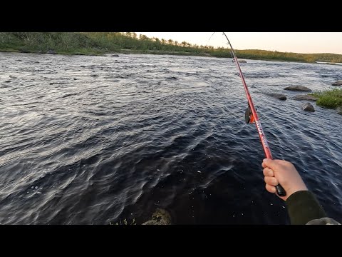 Видео: Впервые ЛОВЛЮ СИГА НА РЕКЕ и кажется УДАЧНО / CATCHING WHITEFISH ON THE RIVER