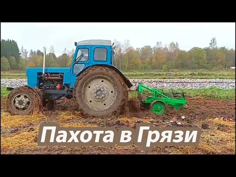 Видео: Трактор Т-40/ Такой пахоты у меня не было!!!