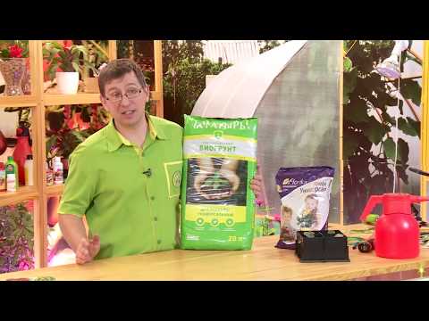 Видео: 20200129 КОНСУЛЬТАНТ САДОВОДА