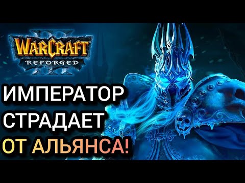 Видео: ИМПЕРАТОР СТРАДАЕТ ОТ ХУМА! Warcraft 3 Reforged