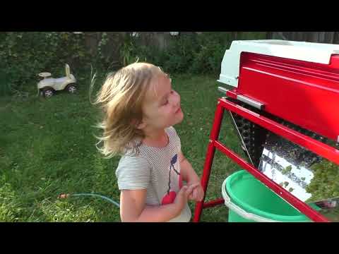 Видео: Дробилка с гребнеотделителем Молинара. Обзор