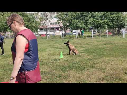 Видео: Инна Альта. Испытания ОКД 03.06.2023 г.