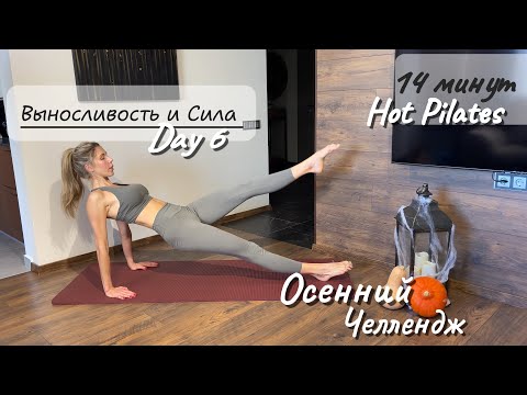Видео: 14 минут Силового Пилатеса на все тело💫 ДЕНЬ 6 - Pilates Челлендж