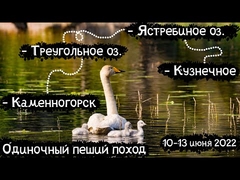 Видео: Одиночный пеший поход по Карельскому перешейку | 10-13 июня 2022