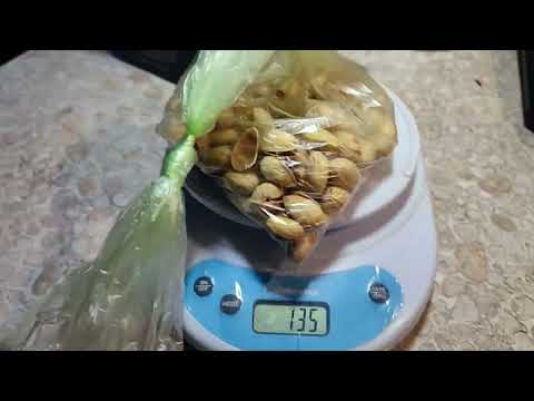 Видео: Как обманывают в пятёрочке