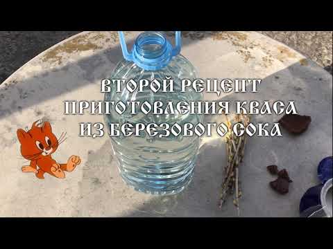 Видео: Дедушкины рецепты приготовления кваса из березового сока