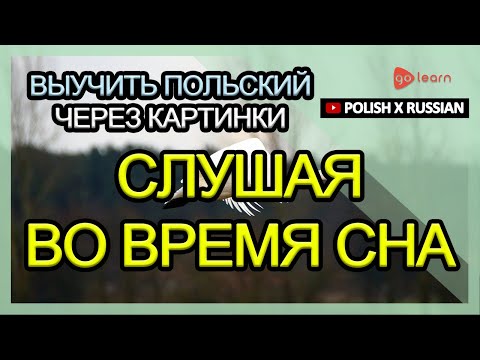 Видео: Выучить польский через картинки |польский словарь Слушая во время сна | Golearn