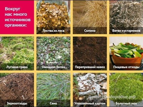Видео: 4. Внесение органических остатков - основной способ повышения плодородия почвы (Рябов Л.А.)