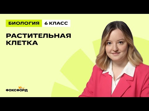 Видео: Растительная клетка | Биология 6 класс | Домашняя школа Фоксфорда