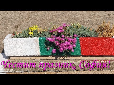 Видео: Д  О  Б  Р  О  Т  А ♥ Нора Гаджева