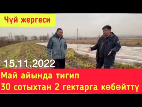 Видео: 30 сотыхтан 2 гектарга көчөттү кантип көбөттү?