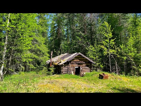 Видео: В поисках старых изб. Одиночный поход длинной 26км