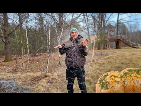 Видео: Показали,где раки зимуют. Временный загон простоял 2 года. Пампушки с чесноком и укропом лучше хлеба