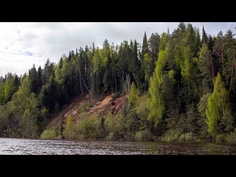 Видео: ВЕТЛУГА: сплав по маршруту ВАРНАВИНО-ВОСКРЕСЕНСКОЕ (КУРДОМА) (полная версия)
