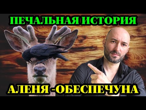 Видео: Печальная история Аленя - обеспечуна. Не далай так!!!