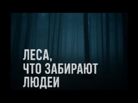 Видео: Леса, из которых люди не возвращаются…