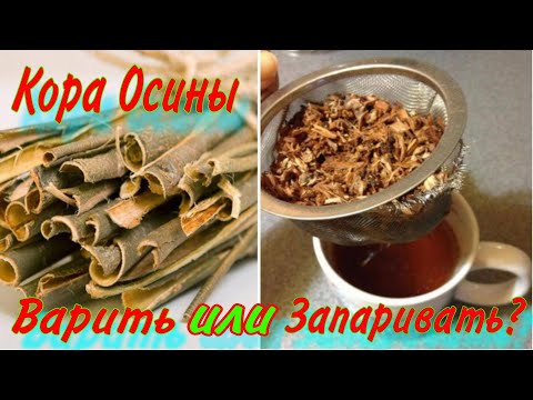 Видео: Кора осины. Что лучше отвар или запаривать?