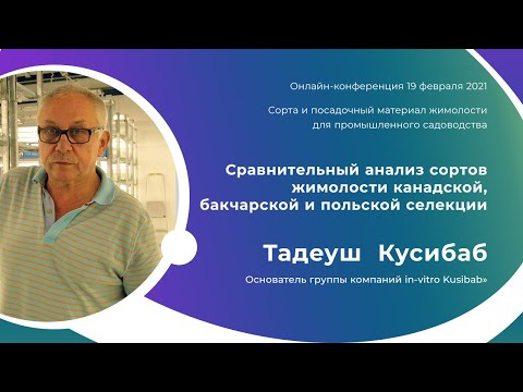 Видео: Сравнительный анализ сортов жимолости канадской, бакчарской и польской селекции. Кусибаб Т.