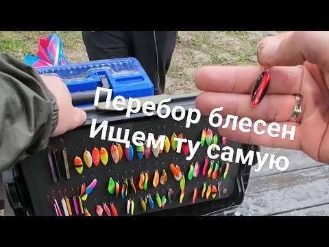 Видео: Подробный перебор блесен