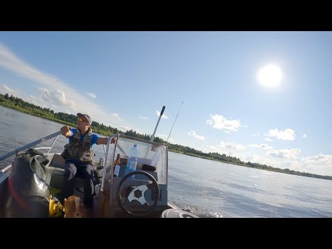 Видео: Ангара 2023. Первый день
