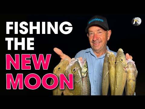 Видео: Рыбалка на пляже в НОВОЛУНИЕ ЛУНИЯ — в поисках рыбы!