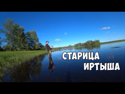 Видео: Рыбалка на Соре ИРТЫША. 4 Дня На Рыбалке. Походная Баня в Палатке Берег.