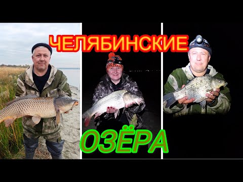 Видео: КАРП. КАРАСЬ -  НОЧНЫЕ ПОКЛЕВКИ. ЧЕЛЯБИНСКИЕ ОЗЁРА
