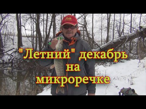 Видео: Константин Кузьмин. "Летний" декабрь. Микроречка.