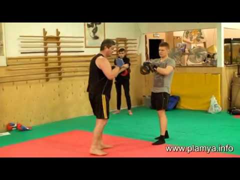 Видео: Апперкот по лапам - Радислав Рева