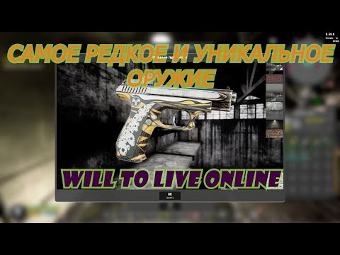 Видео: Самое редкое и уникальное оружие в WIll To Live Online!