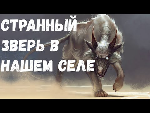 Видео: Страшная история. Странный зверь в нашем селе.