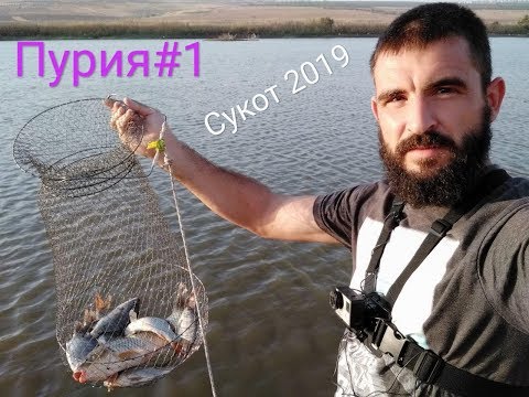 Видео: Пурия#1. Хороший мушт и крупный карп под берегом. Ночная рыбалка 13.10.19  рыбалка в Израиле