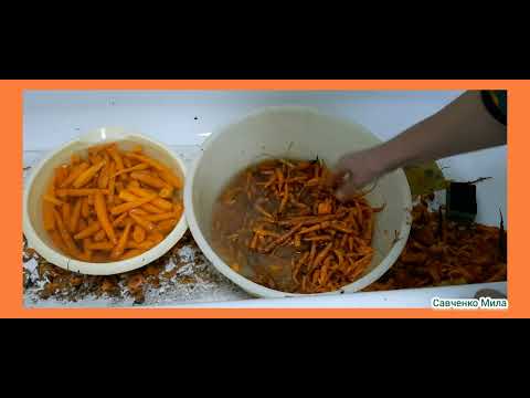 Видео: Мелкую МОРКОВЬ Я Не Выбрасываю Заготавливаю на Зиму ТАК! Carrots for the Winter
