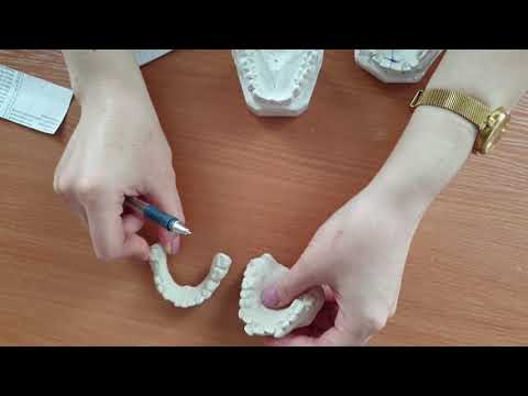 Видео: Метод Пона 1