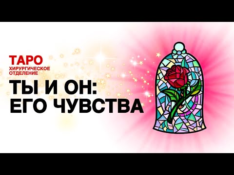Видео: 🦠ТАРО: что он к тебе чувствует. Ты и он: анализ его ощущений к тебе!