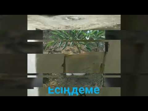 Видео: Ауыл Керегетау