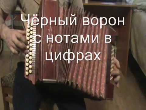 Видео: Чёрный ворон с нотами в цифрах