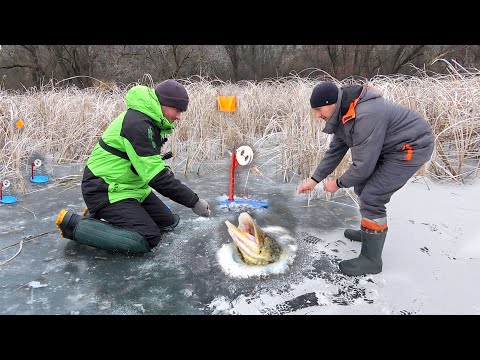 Видео: ПОСЛЕДНИЙ ЛЁД 2022 ЖЕРЛИЦЫ!!! ЩУКИ СТРЕЛЯЮТ ОДНА ЗА ДРУГОЙ!!! РЫБАЛКА на ПОСЛЕДНЕМ ЛЬДУ