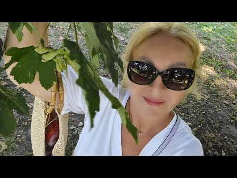 Видео: 🔴 Калининград Отдых 2022/Куршская Коса Танцующий лес