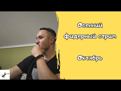 Видео: Осенний фидерный стрим. Октябрь 2024