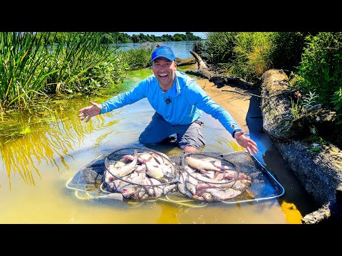 Видео: Рыбалка НА ФИДЕР в жару / в ЭТОЙ РЕКЕ много рыбы / ЛОВЛЯ ЛЕЩА на реке/ Фидер 2021 #67 выпуск