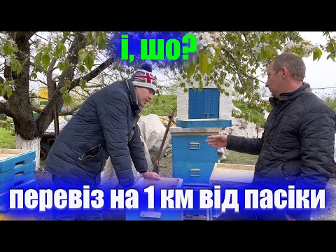 Видео: Наслідки перевезення бджіл на 1 км від пасіки,  Вулики на 8 рамок замість 12.