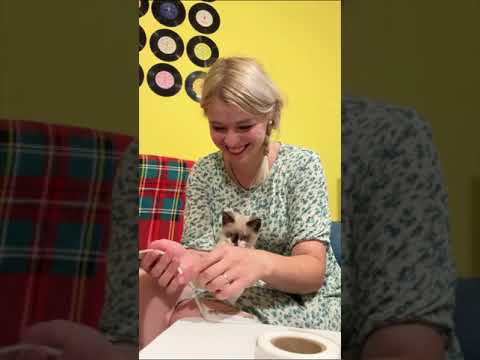 Видео: Компот из вишни и персика на зиму🍑🍒