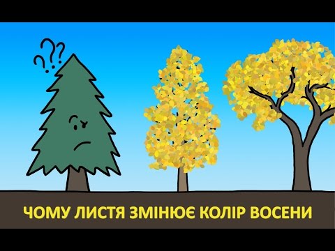 Видео: Чому листя змінює колір восени [MinuteEarth]
