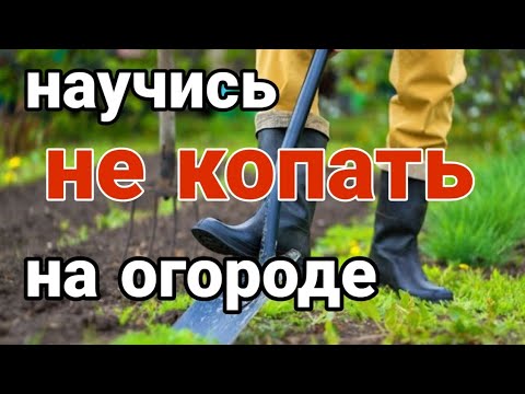 Видео: КАК ПОВЫСИТЬ ПЛОДОРОДИЕ ЗЕМЛИ / ПОЧВЫ. Как начать не копать землю