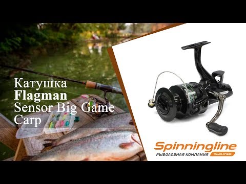 Видео: Безынерционная катушка Flagman Sensor Big Game Carp