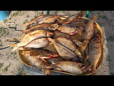 Видео: дымогенератор без компрессора II