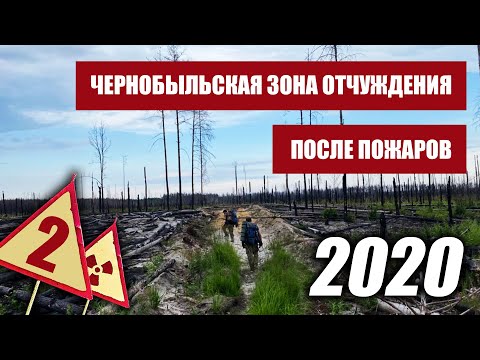 Видео: Чернобыльская Зона Отчуждения после пожаров 2020. Часть2